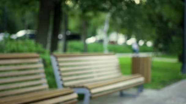 Un uomo cammina con un passeggino nel parco. Padre premuroso per una passeggiata con un bambino — Video Stock