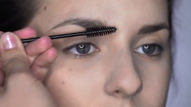 Stüdyoda oturan güzel ve muhteşem kadın için profesyonel makyaj süreci. Makyaj sanatçısı kaşları