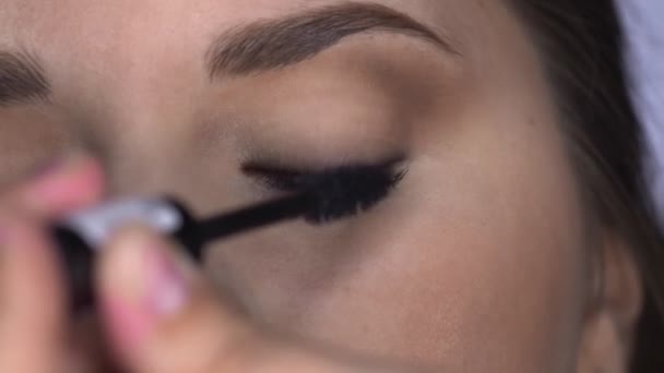 Close up of process of Professional Makeup for beautiful and gorgeous woman sitting at the Studio. Make up Artist applies mascara to model — Stock Video