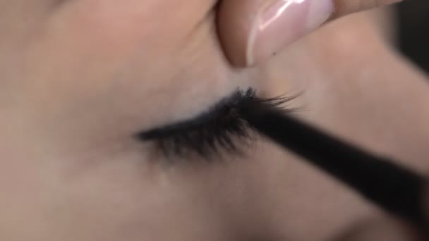 Makro, genç bir kadının makyaj stüdyosunda profesyonel makyajını yapıyor. Makyaj sanatçısı göz kapağına siyah göz kalemi sürüyor — Stok video