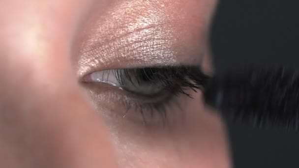 Μακρο πλάνο του καλλιτέχνη μακιγιάζ κάνει επαγγελματική make-up για νεαρή γυναίκα στο στούντιο ομορφιάς. Make up Καλλιτέχνης ζωγραφίζει μάσκαρα βλεφαρίδες — Αρχείο Βίντεο