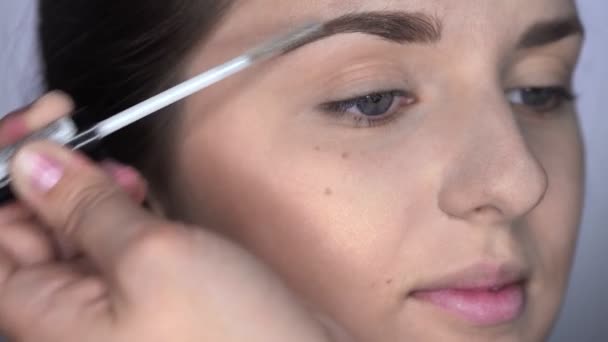 Prozess der professionellen Make-up für schöne und wunderschöne Frau sitzt im Studio. Make-up Artist Make-up Augenbrauen mit Pinsel — Stockvideo