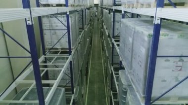 Endüstriyel depodaki yüksek raflarda saklanmış kutular. İçinde karton kutular olan bir depo. Palet raflarında, lojistik merkezde..