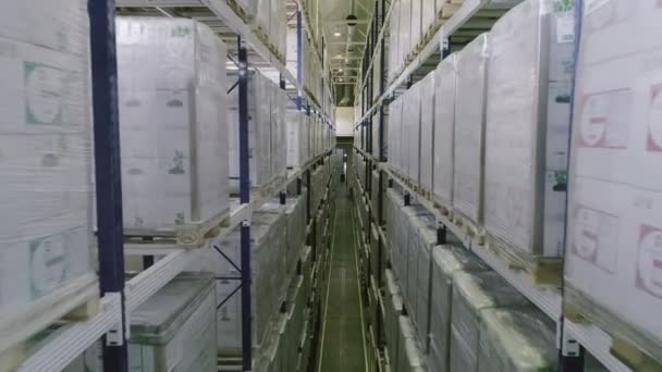 Boîtes stockées sur de hautes étagères dans un entrepôt industriel. Entrepôt avec boîtes en carton à l'intérieur sur porte-palettes, centre logistique . — Video