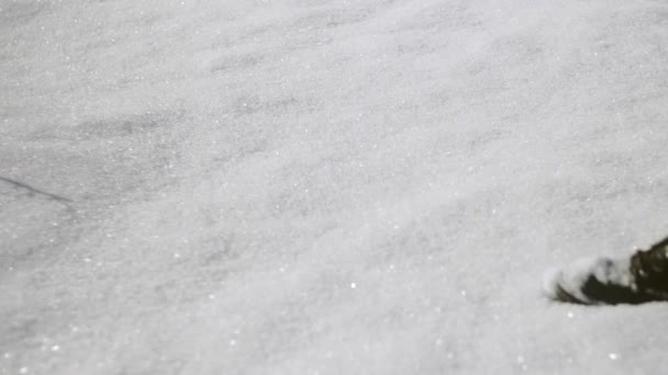 Primer plano de las piernas femeninas camina sobre la nieve — Vídeo de stock