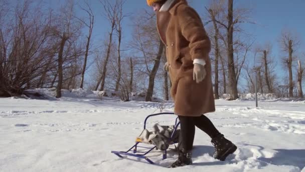 Junge glückliche Frau sitzt auf Schlitten im Winterpark — Stockvideo