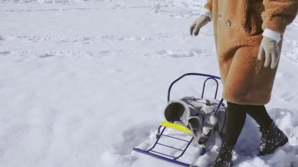 Jeune femme heureuse en manteau de fourrure s'assoit sur un traîneau dans le parc d'hiver — Video