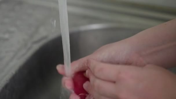Zamknij się kucharz kobieta mycie świeże rzodkiewki — Wideo stockowe