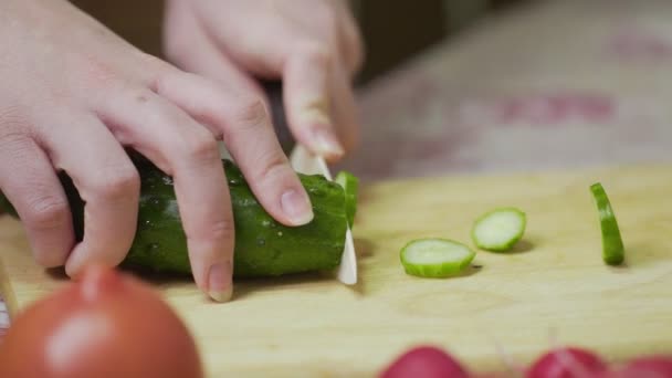 Chef feminino cortando vegetais frescos. Mulher usando faca de cozinha para cortar pepino fresco — Vídeo de Stock