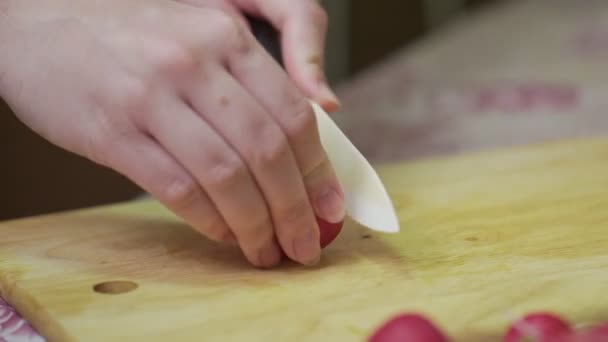 Kucharka kroi świeże warzywa. Kobieta używa kuchennego noża do cięcia świeżej rzodkiewki — Wideo stockowe