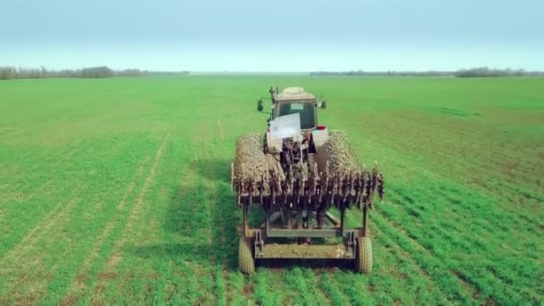 Luchtfoto van een boer in trekker die land bereidt op landbouwgrond. Top down view witte trekker ploegen velden, het voorbereiden van land voor het zaaien. — Stockvideo