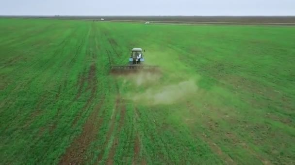 Luftaufnahme eines Bauern im Traktor bei der Vorbereitung von Ackerland. Weißer Traktor pflügt Felder von oben nach unten, bereitet Land für die Aussaat vor. — Stockvideo