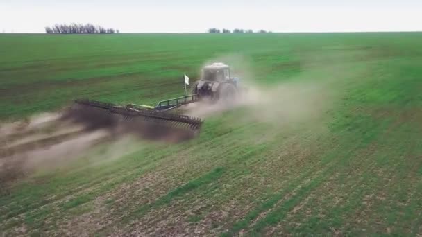 Vista aérea de um poderoso trator saturado de energia com uma grande força de gancho, realizando lavoura para semear culturas de inverno com um cultivador de discos no outono — Vídeo de Stock