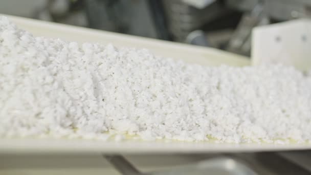 A máquina para limpar arroz, grão. Fabricação de cereais. — Vídeo de Stock