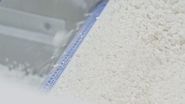 米工場だ。米の洗浄と生産。米及び穀物を梱包するためのコンベヤー. — ストック動画