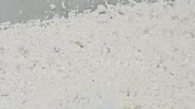 Pirinç ve tahıl temizleme makinesi. Tahıl ürünleri üretimi.