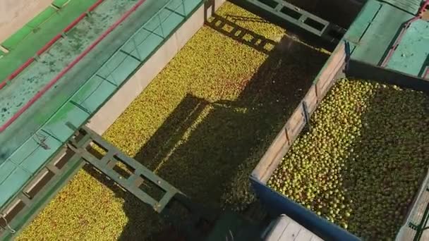 Vista superior do trator despeja maçãs em armazenamento — Vídeo de Stock