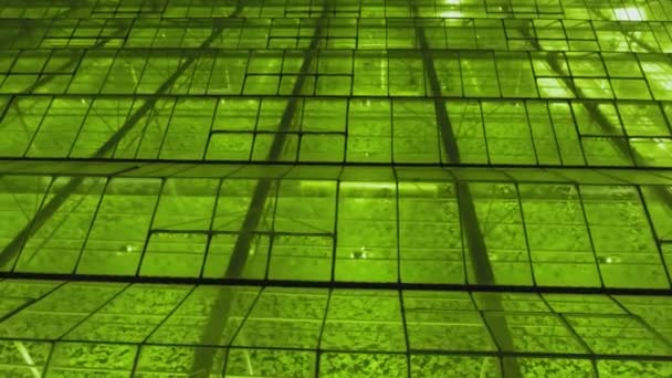 夜间大型工业温室 — 图库视频影像