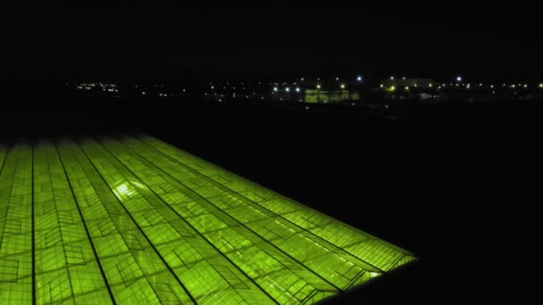 Volando sobre un gran invernadero con pepinos a gran altura — Vídeo de stock