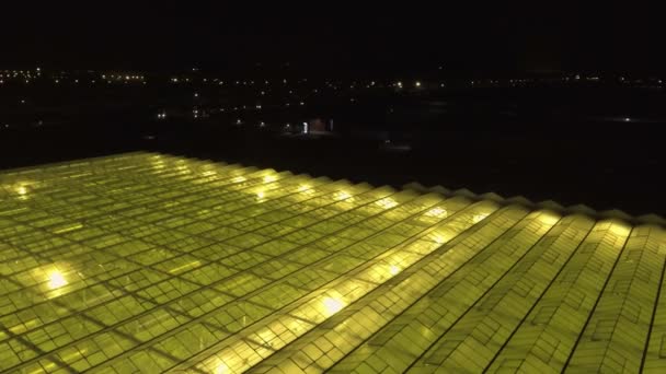 Vista aérea hacia abajo del invernadero con iluminación artificial . — Vídeo de stock