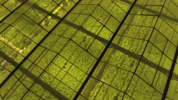 Vue aérienne - Vue extérieure de la serre avec lumières LED allumées pour les plantes en croissance.