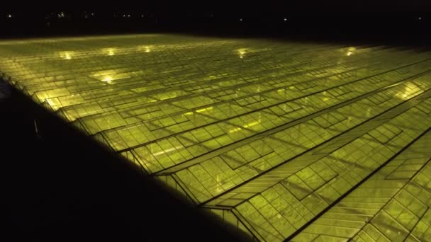 Flyger över ett stort växthus med gurkor på höjden — Stockvideo