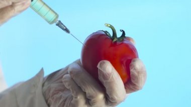 Bilim adamı domates 'e bir Corona şırıngası enjekte etti. Covid 19