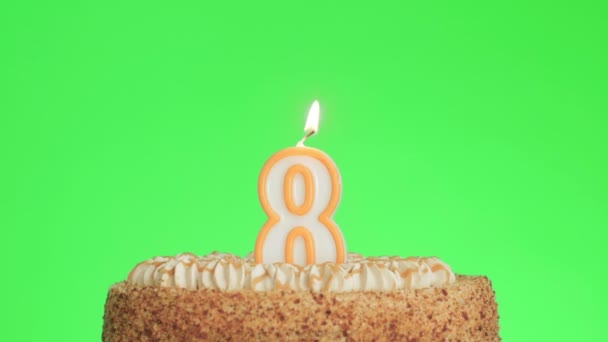 Soplando una vela de cumpleaños número ocho en un delicioso pastel, pantalla verde 8 — Vídeo de stock