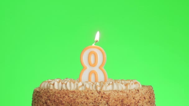 Blowing out a number eight birthday candle on a delicious cake, green screen 8 — Stock Video