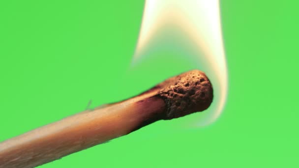 Горящая спичка и пламя на зеленом фоне экрана — стоковое видео