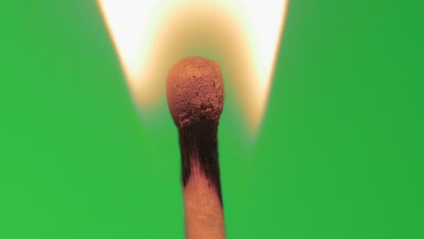 La tête de match de sécurité s'allume en macro ou se referme sur fond vert 