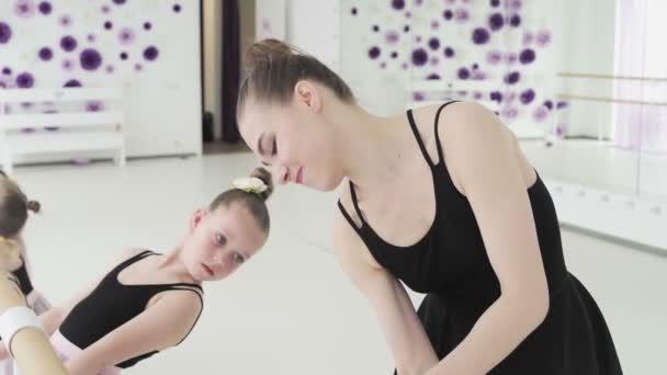 Gruppe kleiner Balletttänzer in rosa Trikots und Tutu-Röcken, die an der Ballettstange hängen und im Tanzstudio turnen — Stockvideo
