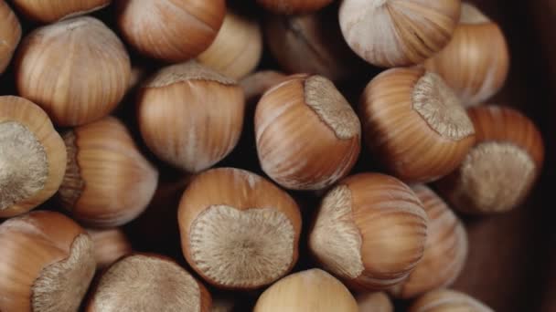 Hazelnut closeup in wooden bowl — Stock Video