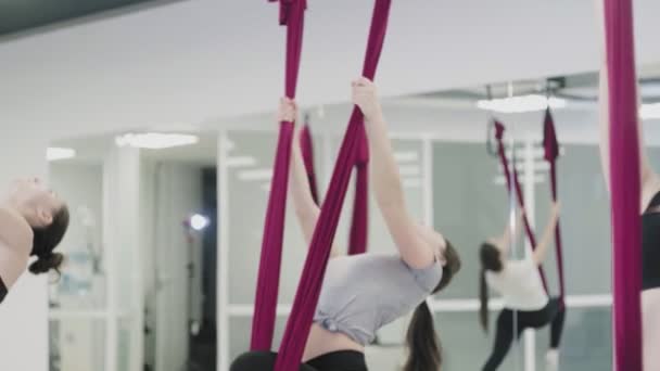 Jonge mooie vrouwen doen luchtyoga praktijk in paarse hangmat in fitness club. — Stockvideo