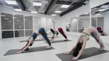 Kadınlar köpeğe doğru eğiliyor, Adho Mukha Svanasana yoga stüdyosunda minderlerin üzerinde.