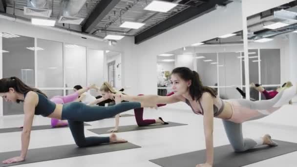 Yoga klass grupp av kvinnor som utövar hälsosam livsstil i fitness studio yoga nedåt hund chaturanga poser — Stockvideo