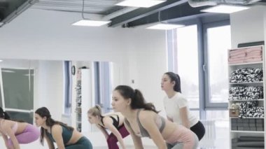 Yoga öğrencileri minderlerin üzerinde durup yoga pozu veriyorlar..
