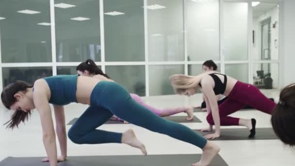 Grupo de Mujeres Jóvenes hacen Ejercicios de Cabeza de Perro de Yoga — Vídeo de stock