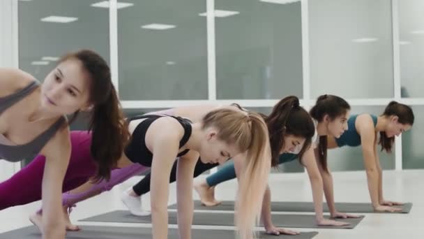 Grupa zdrowych kobiet uprawiających jogę pozuje medytację — Wideo stockowe