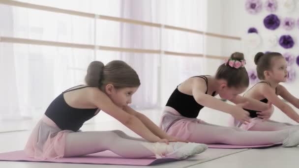 Unga ballerinor tränar sin flexibilitet. — Stockvideo