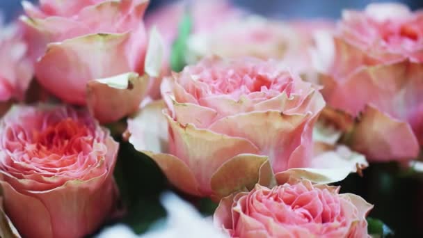 Vista de cerca de hermoso ramo de rosas rosadas . — Vídeos de Stock