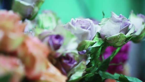 Vista de perto de belo buquê de rosas . — Vídeo de Stock
