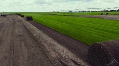 Rolls Lawn 'ın hava görüntüsü