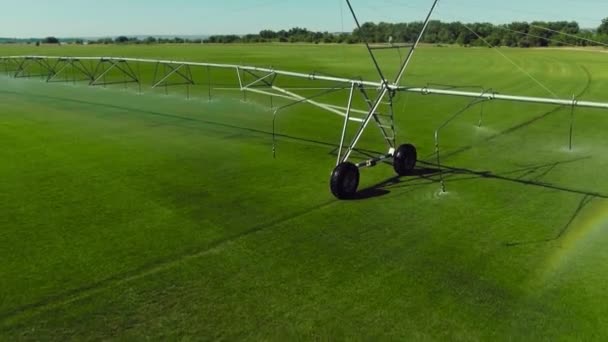 Flygfoto över gräsmatta fält och bevattning sprinkler — Stockvideo