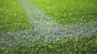 Bir çim futbol sahasında sınır çizgisini kapatın..