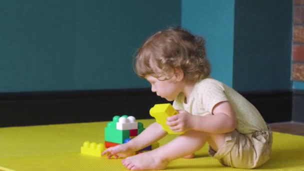 Curly menina está fazendo construção de tijolos de brinquedo — Vídeo de Stock