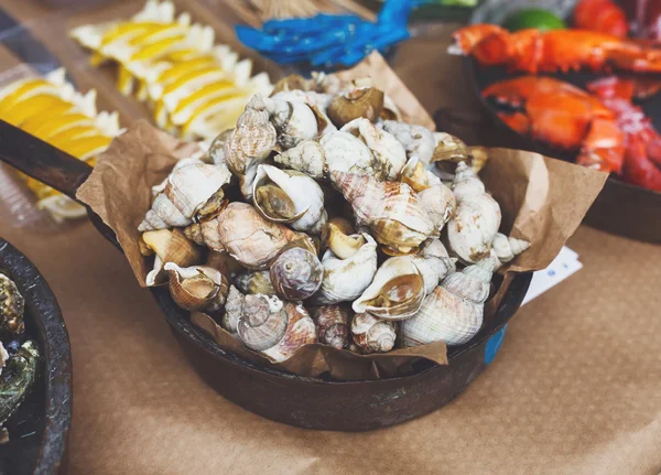 Plein de fruits de mer, buccin de rapa veiné sur le gril — Photo