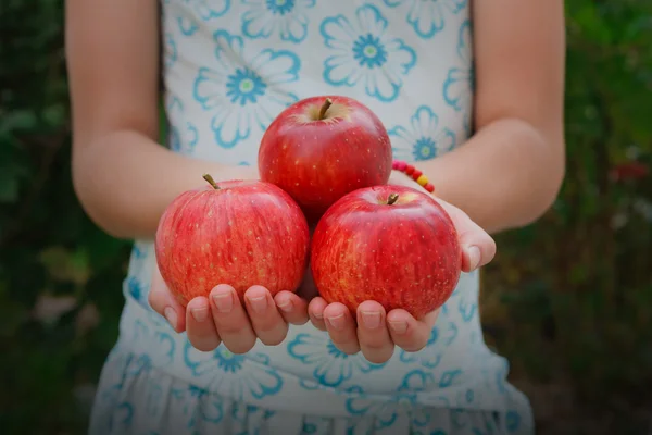 Girl holds red apples in hands, handful at torso background — ストック写真