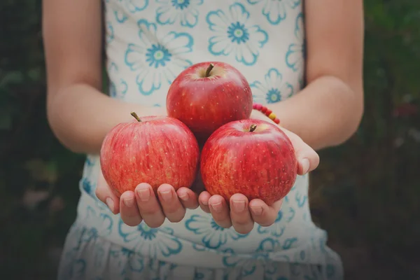 Girl holds red apples in hands, handful at torso background — ストック写真