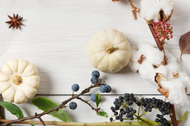 Beyaz ahşap, en iyi görünümü üzerinde kurutulmuş çiçek sonbahar çerçeve.